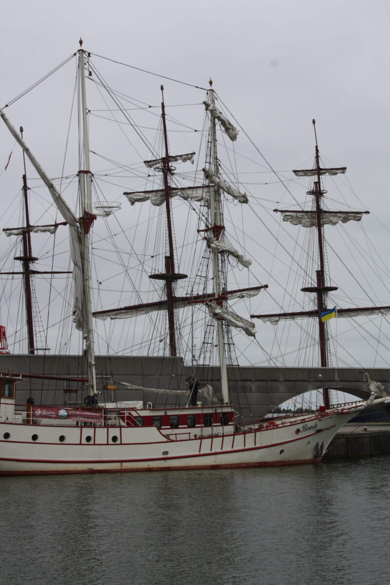 bruine vloot schepen gelegen in de haven van Lelystad