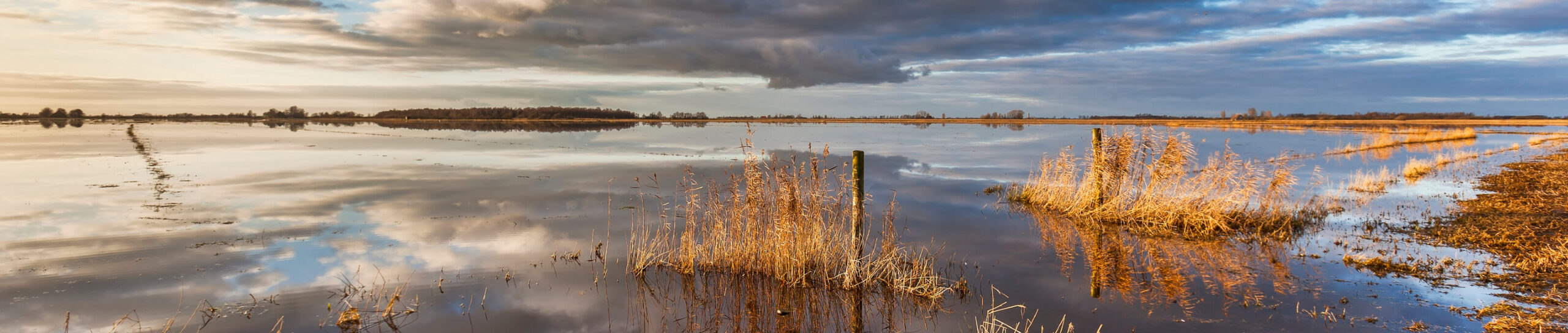 Panorama over een meer met zachte land waterovergangen