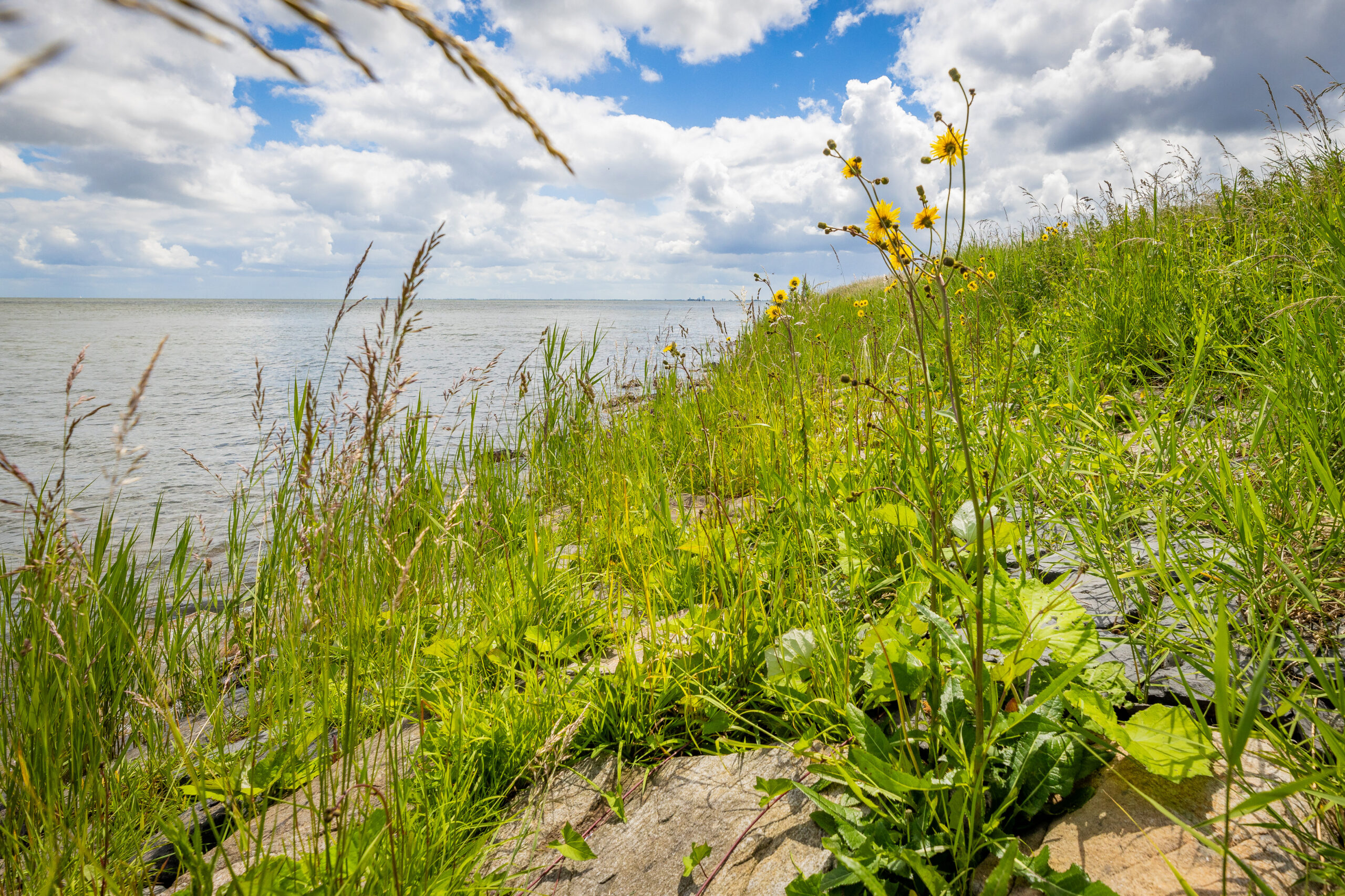 Verenigde IJsselmeertop 2026